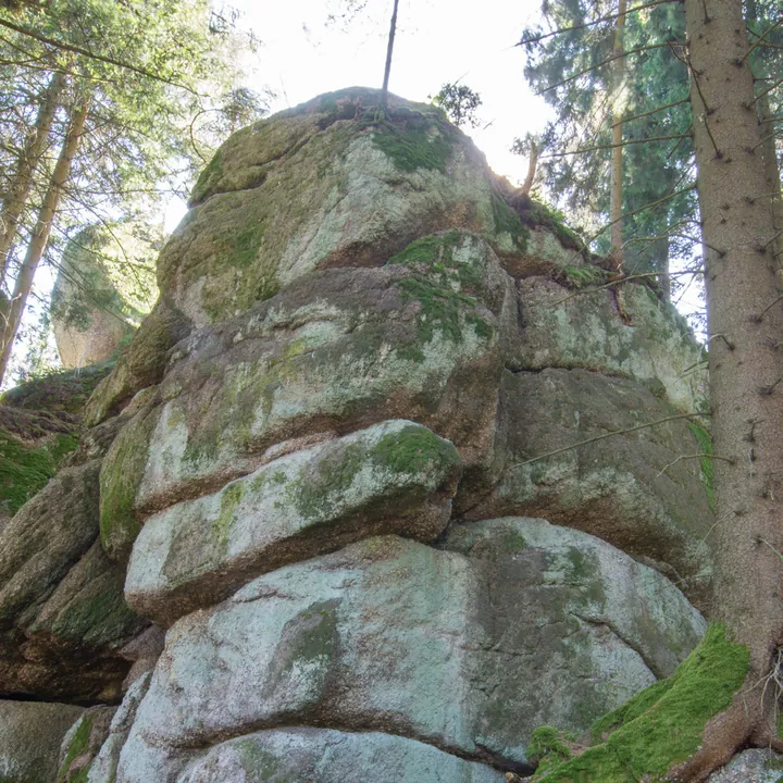 Moosbewachsener Granitfelsen im Waldreich Klettergarten