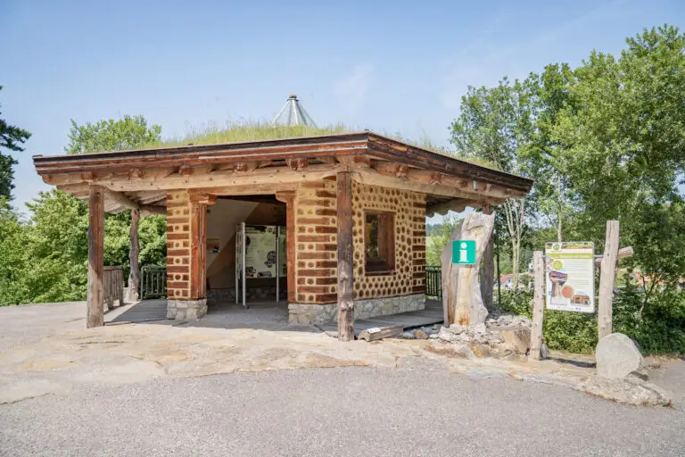 Station 1: Naturoase mit Pavillon