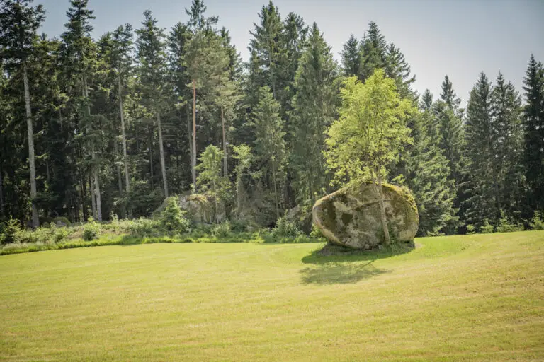 Erlebnispunkt 3: Versteinerte Heufuhre