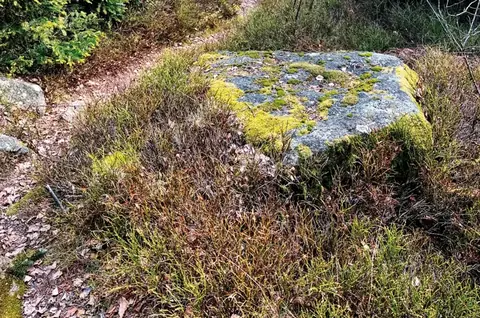 Erlebnispunkt 5: Steinweg