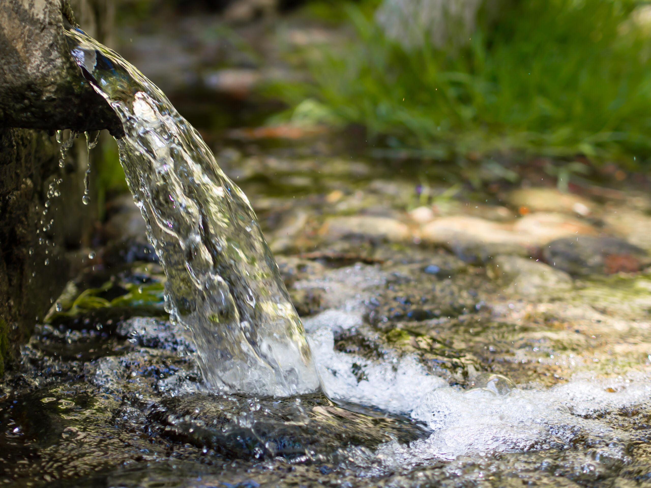 AdobeStock_203313567 scaled