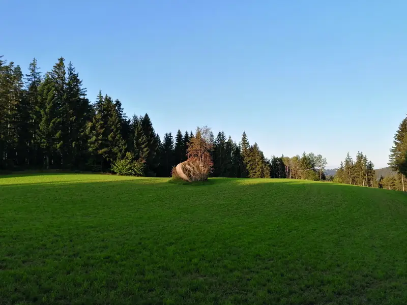 Erlebnispunkt 3 - Versteinerte Heufuhre