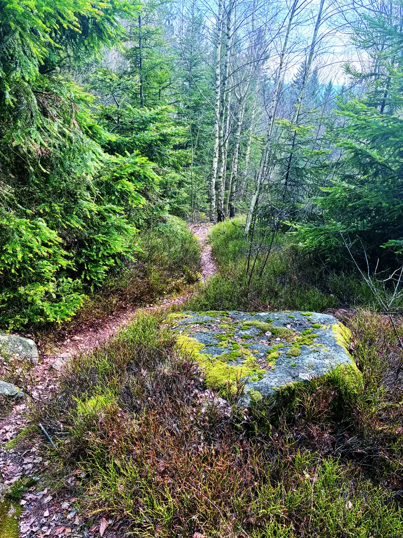 Erlebnispunkt 5 - Steinweg