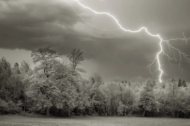 Blitz über einem Waldrand bei Gewitter