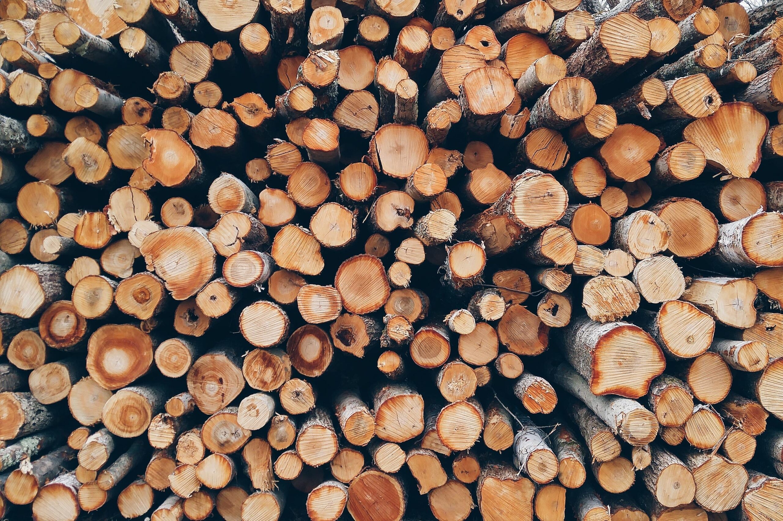 wood 1868104 scaled